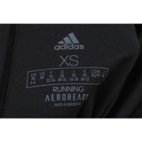 Adidas Broeken in Zwart