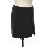 Cappellini Skirt in Blue