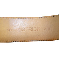 Reptile's House Leather belt made of ostrich leather