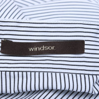 Windsor Top Cotton