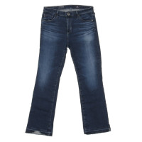 Adriano Goldschmied Jeans Cotton in Blue