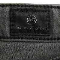 Adriano Goldschmied Jeans in Gray