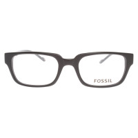 Fossil Glasses in Black