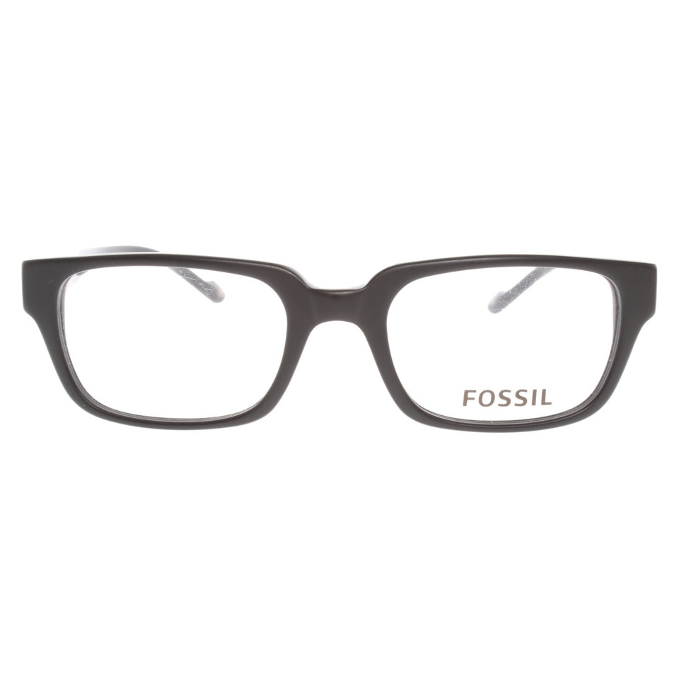 Fossil Glasses in Black