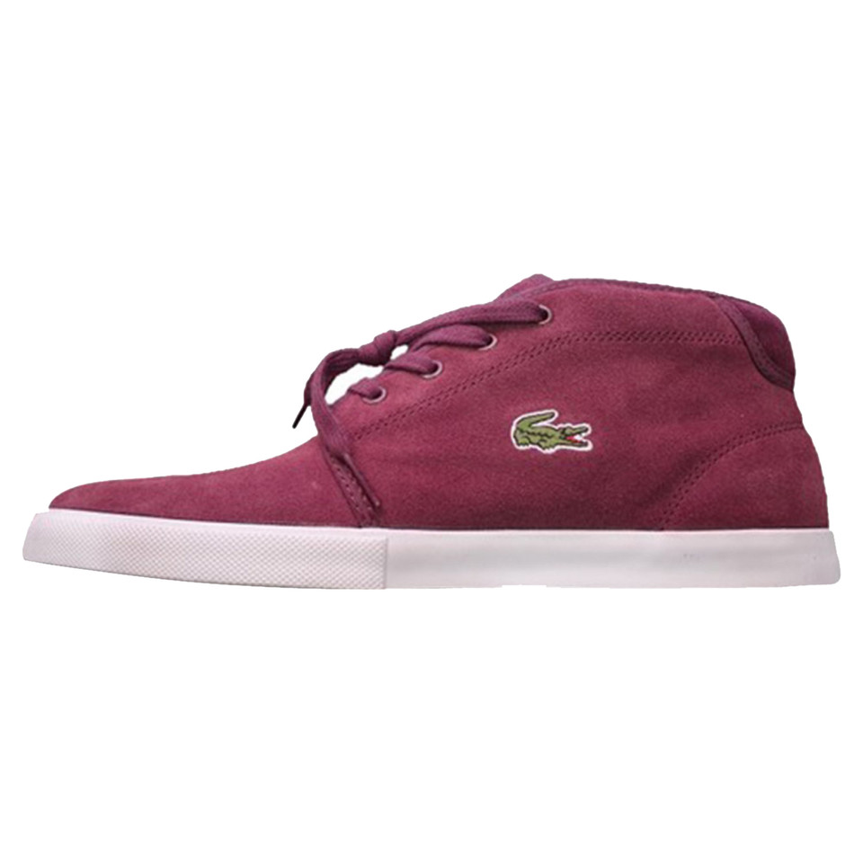 Lacoste Ankle boots Suede in Bordeaux