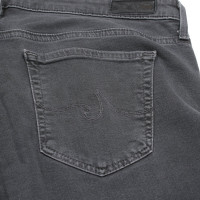 Adriano Goldschmied Jeans in Grey