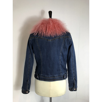 Luisa Spagnoli Jacket/Coat Cotton in Blue