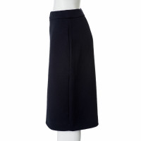 Dkny Skirt in Blue