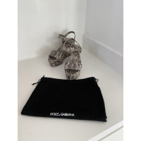 Dolce & Gabbana Chaussures compensées
