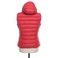 Parajumpers Gilet in Rosso