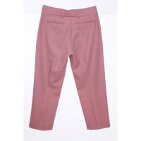 Burberry Hose in Rosa / Pink