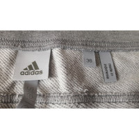 Adidas Hose aus Baumwolle in Grau