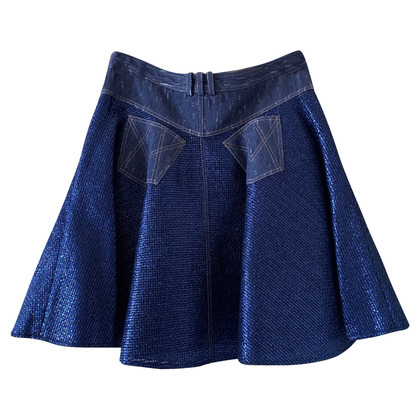 Versace Skirt in Blue