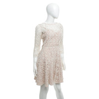 Reiss Spitzenkleid in Creme