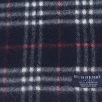 Burberry Scarf/Shawl Wool in Blue