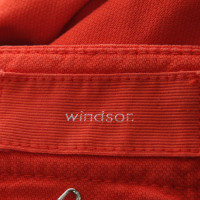 Windsor Shorts en orange