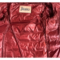 Herno Jacket/Coat in Orange