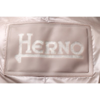 Herno Jacket/Coat in Beige