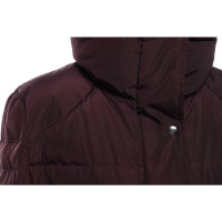 Hugo Boss Jacket/Coat in Bordeaux