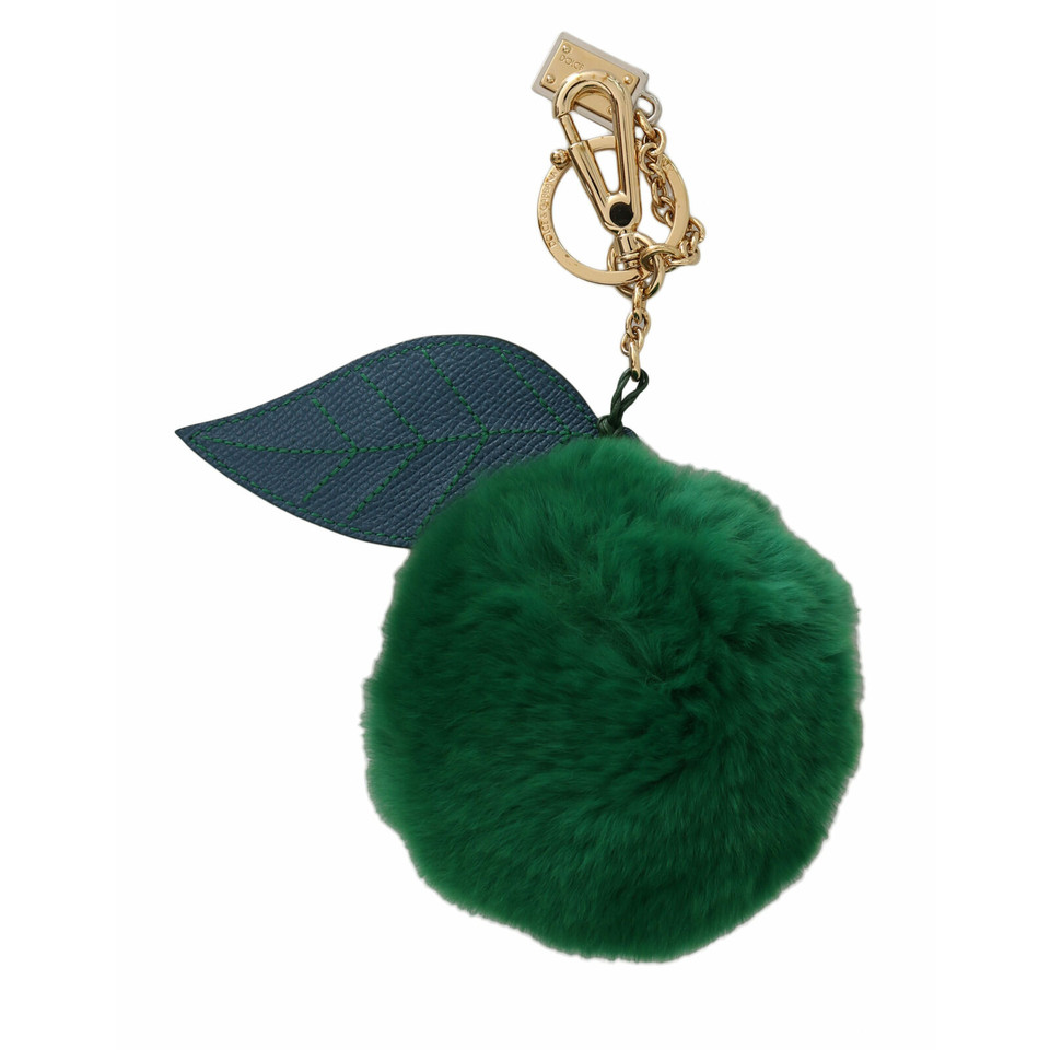 Dolce & Gabbana Accessory in Green