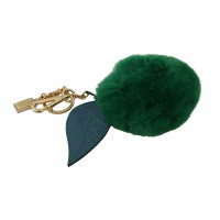 Dolce & Gabbana Accessory in Green