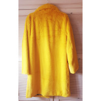 Badgley Mischka Jacket/Coat in Yellow