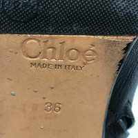 Chloé Stiefeletten aus Leder in Schwarz