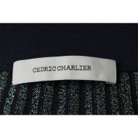 Cédric Charlier Skirt