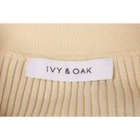 Ivy & Oak Knitwear Cotton in Cream