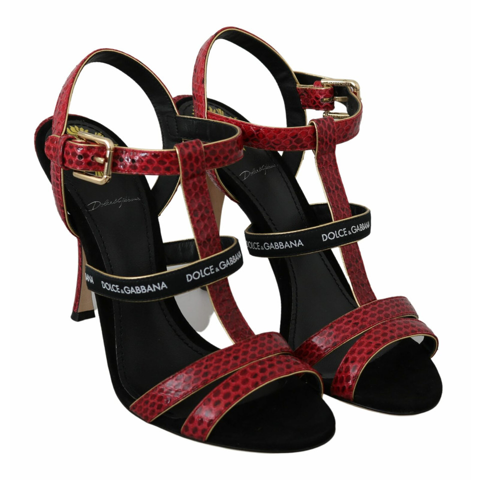 Dolce & Gabbana Sandales en Rouge