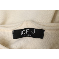 Iceberg Knitwear