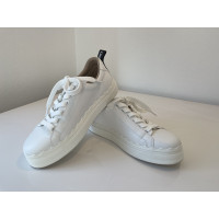Chloé Sneakers aus Leder in Weiß