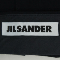 Jil Sander Trousers Viscose in Blue
