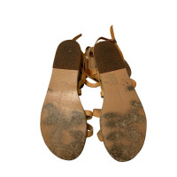 Ancient Greek Sandals Sandales en Cuir en Marron