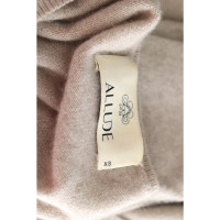 Allude Knitwear Cashmere in Taupe