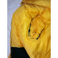 Jimmy Fairly Jacket/Coat in Yellow