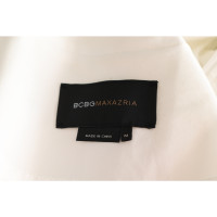 Bcbg Max Azria Jacket/Coat in Cream