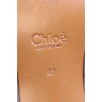 Chloé Stiefeletten aus Leder in Braun