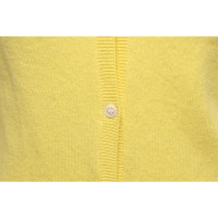 Allude Knitwear in Yellow