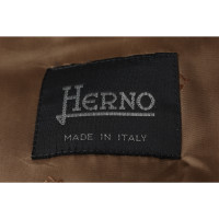 Herno Jacket/Coat in Ochre