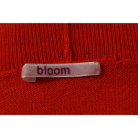 Bloom Maglieria in Cashmere in Rosso