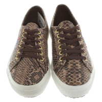 Superga Lace in Brown
