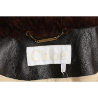 Chloé Jacket/Coat Fur in Bordeaux