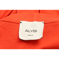 Alysi Oberteil aus Jersey in Orange