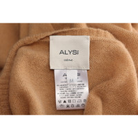 Alysi Bovenkleding Wol in Beige