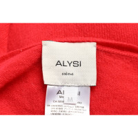 Alysi Bovenkleding Wol in Fuchsia