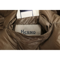 Herno Jacket/Coat