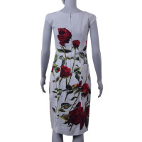 Dolce & Gabbana Kleid mit Rosen-Print 