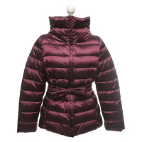 Max Mara Jacket/Coat in Bordeaux