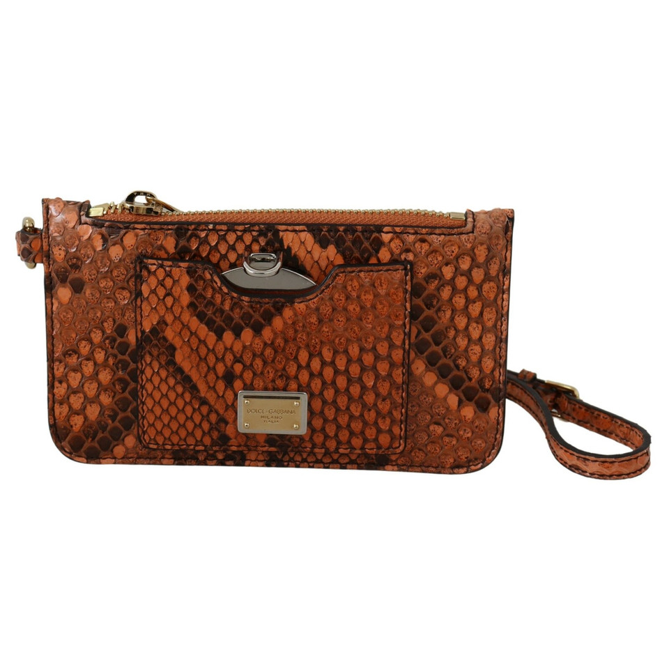 Dolce & Gabbana Bag/Purse Leather in Brown